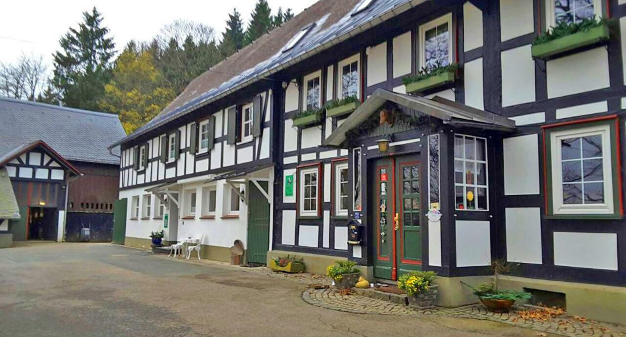 Гостьовий будинок Berghof Schmitte Вінтерберг Екстер'єр фото